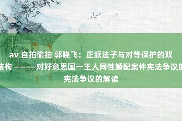 av 自拍偷拍 郭晓飞：正派法子与对等保护的双螺旋结构 ————对好意思国一王人同性婚配案件宪法争议的解读