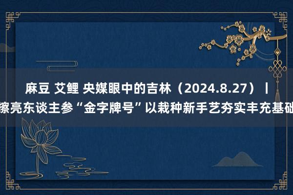 麻豆 艾鲤 央媒眼中的吉林（2024.8.27）丨擦亮东谈主参“金字牌号”　以栽种新手艺夯实丰充基础