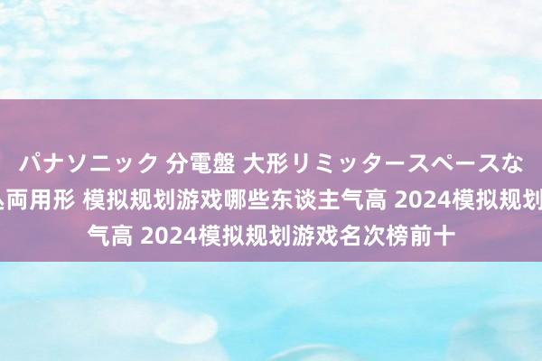 パナソニック 分電盤 大形リミッタースペースなし 露出・半埋込両用形 模拟规划游戏哪些东谈主气高 2024模拟规划游戏名次榜前十