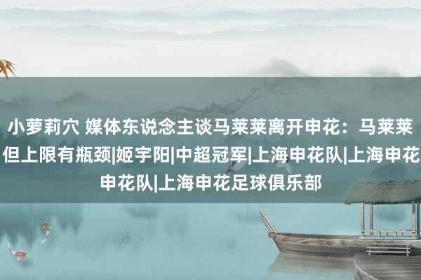 小萝莉穴 媒体东说念主谈马莱莱离开申花：马莱莱不是水货，但上限有瓶颈|姬宇阳|中超冠军|上海申花队|上海申花足球俱乐部