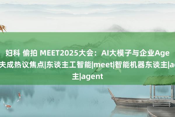 妇科 偷拍 MEET2025大会：AI大模子与企业Agent工夫成热议焦点|东谈主工智能|meet|智能机器东谈主|agent