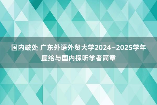 国内破处 广东外语外贸大学2024—2025学年度给与国内探听学者简章